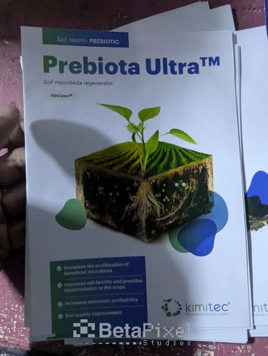 Printed A4 product brochures for a soil prebiotic with a cut-away plant and root illustration