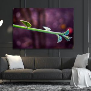 Nurturing Life: Growing Plant Stem” Acrylic Glass Print