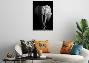 AFRICAN ALEPHANT